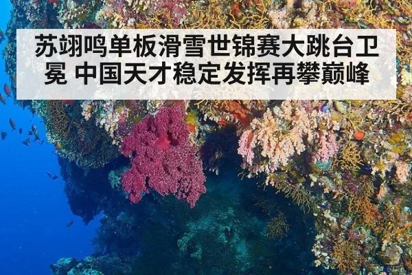 苏翊鸣单板滑雪世锦赛大跳台卫冕 中国天才稳定发挥再攀巅峰